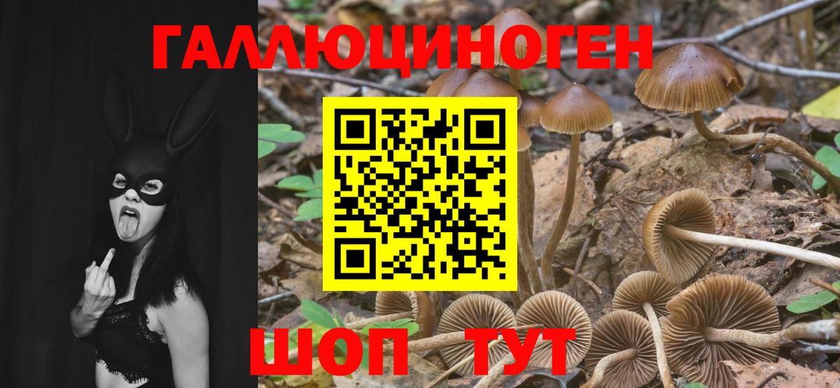 наркотики  Псилоцибиновые грибы Cubensis  Вход с VPN  Малоярославец  Псилоцибиновые грибы мицелий 