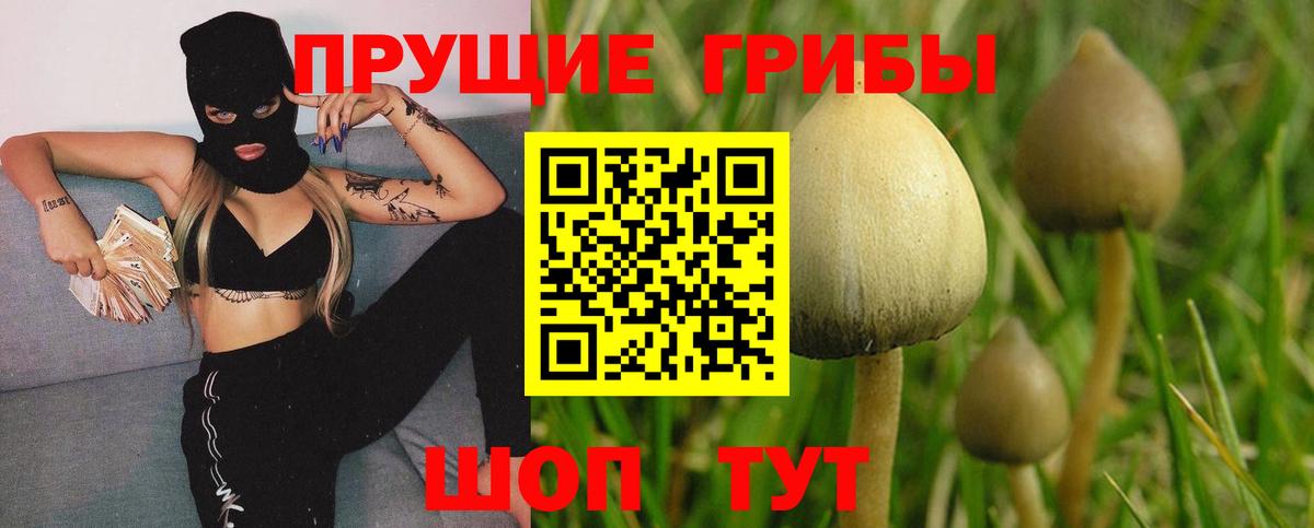 Галлюциногенные грибы GOLDEN TEACHER Малоярославец